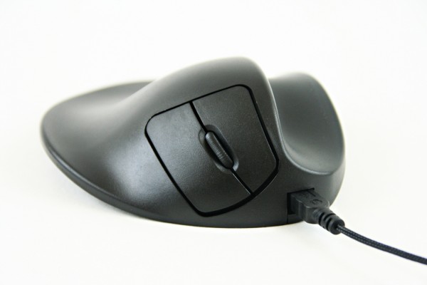 Souris S2 HandshoeMouse Hippus